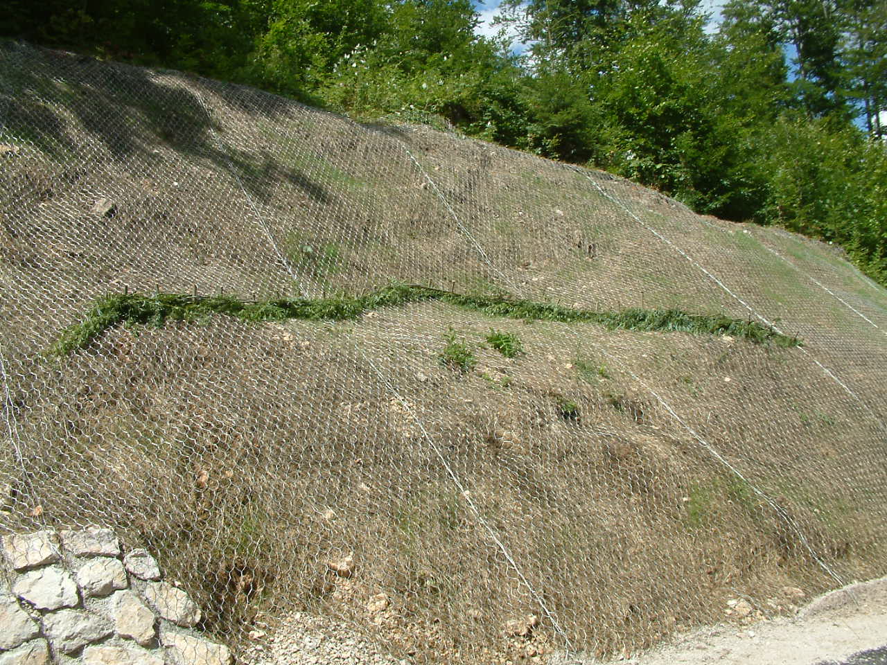 DSCF0004 DSCF0004