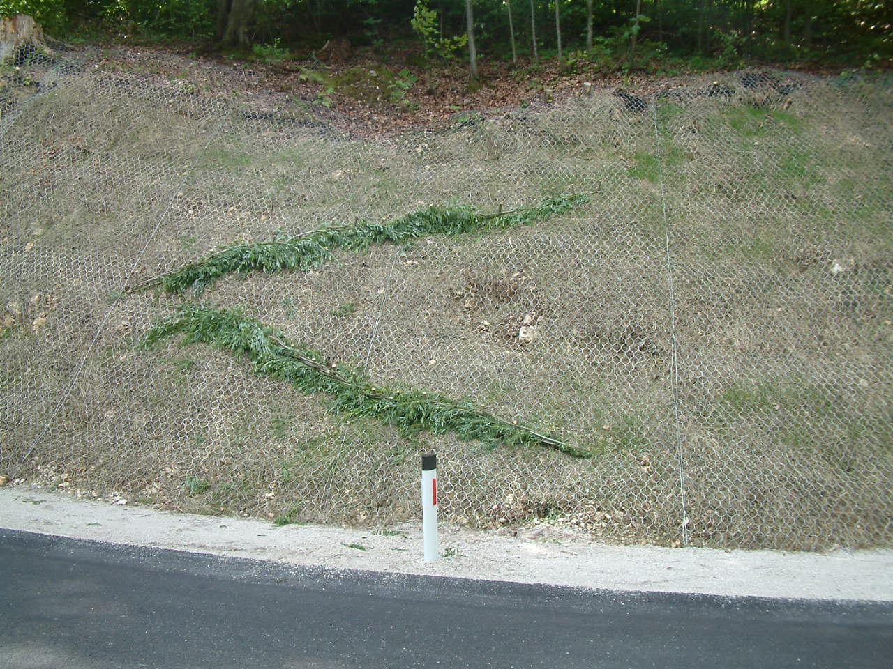 DSCF0007 DSCF0007