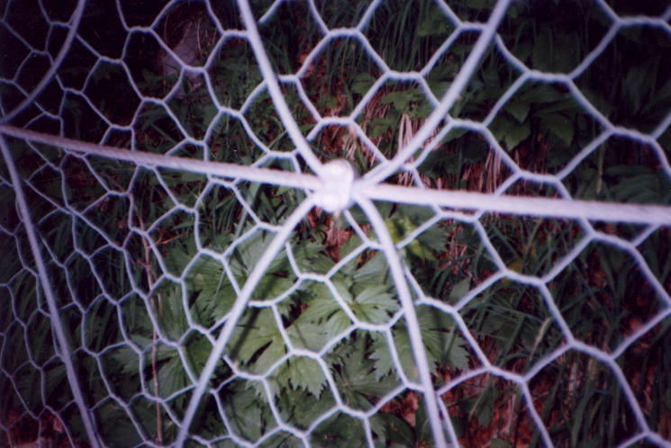 File0011310 File0011310