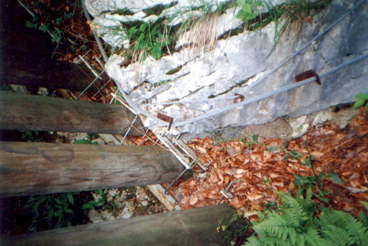 File0011312 File0011312