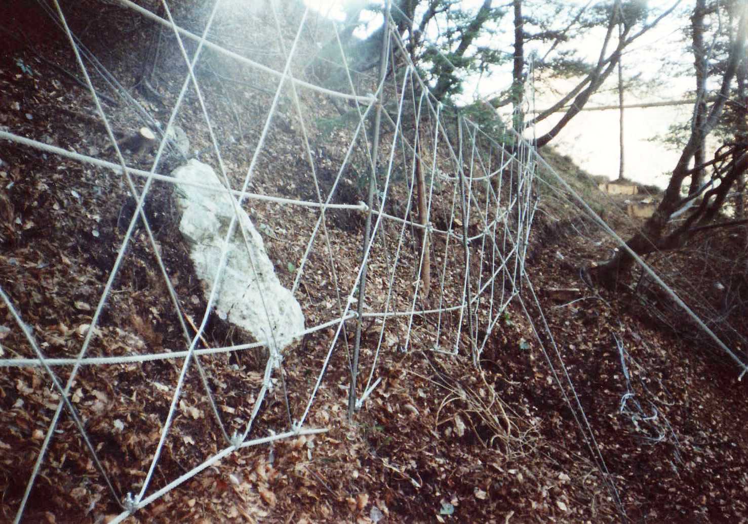 File0011775 File0011775