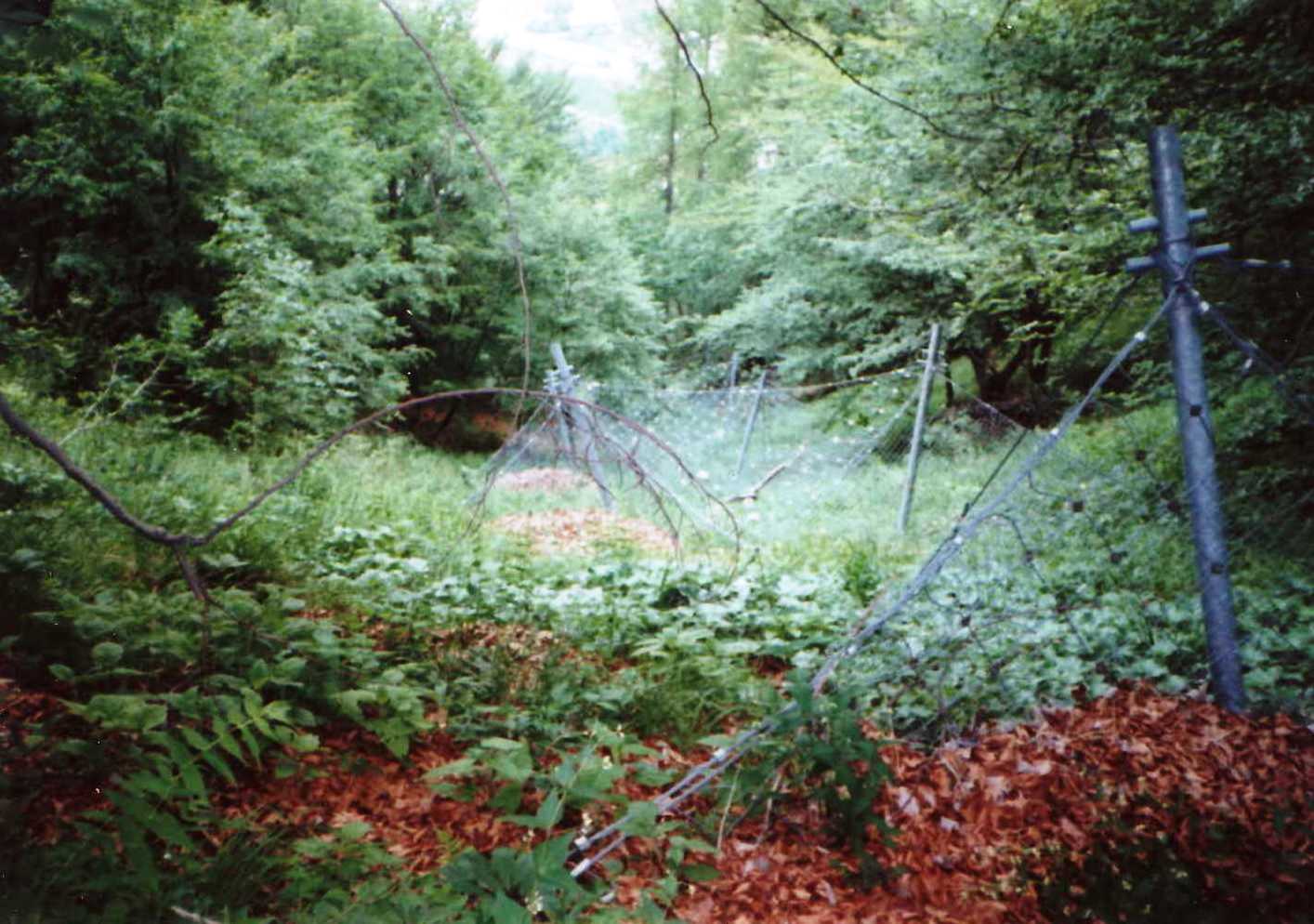 File0011777 File0011777