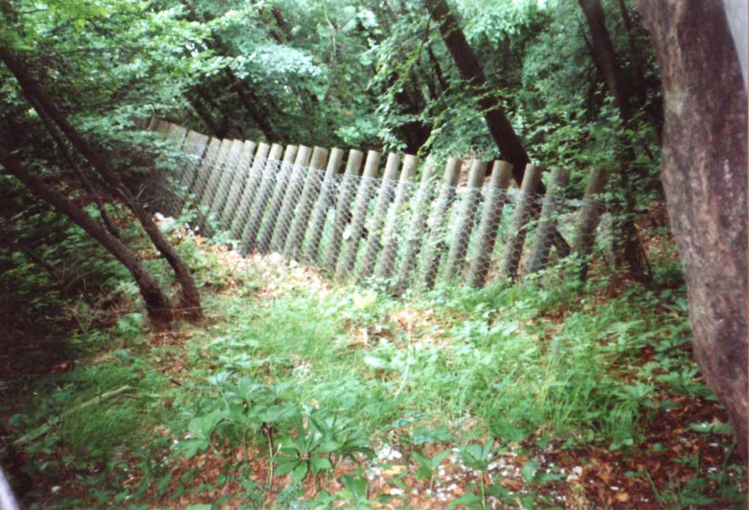 File0011781 File0011781