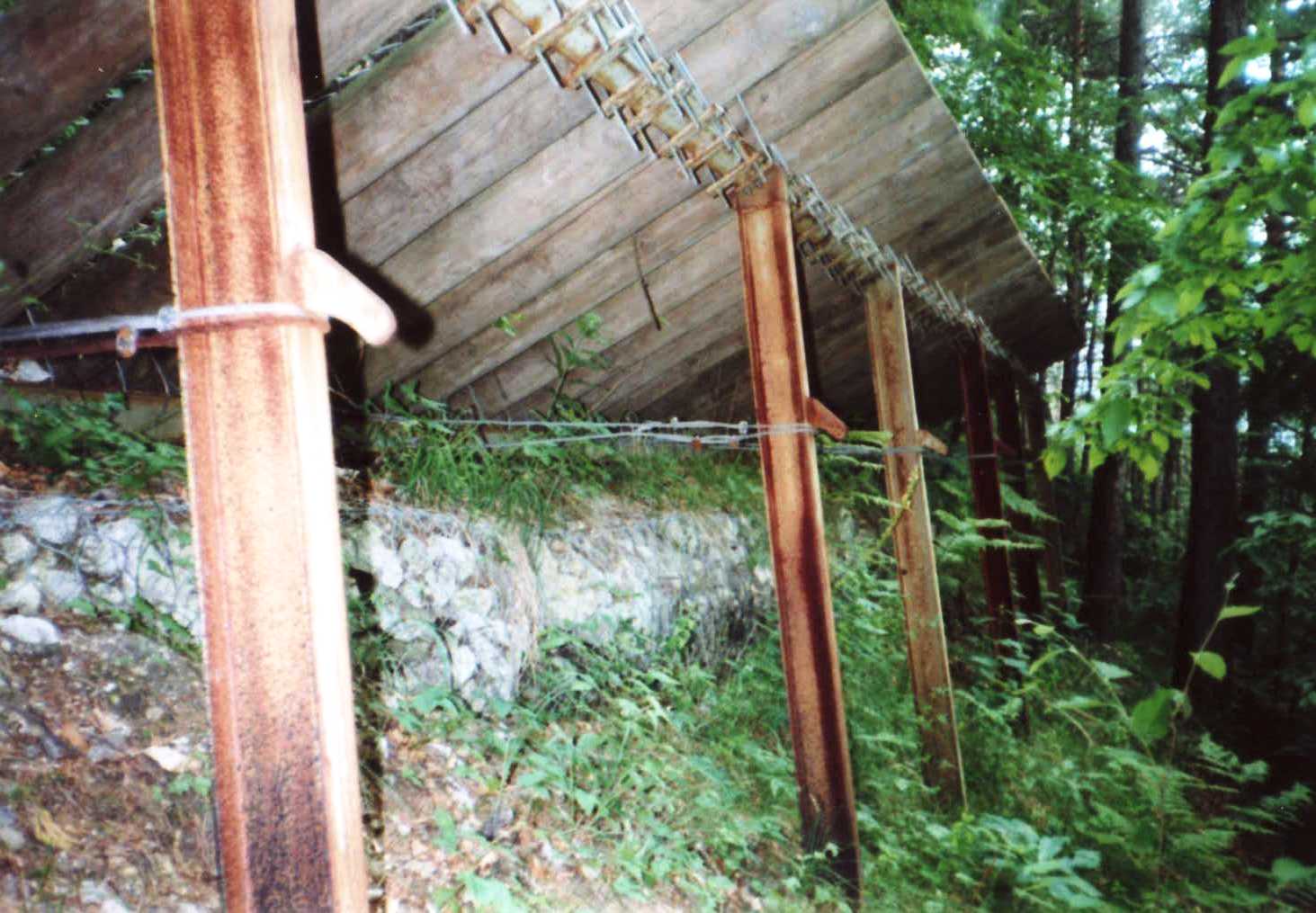 File0011783 File0011783