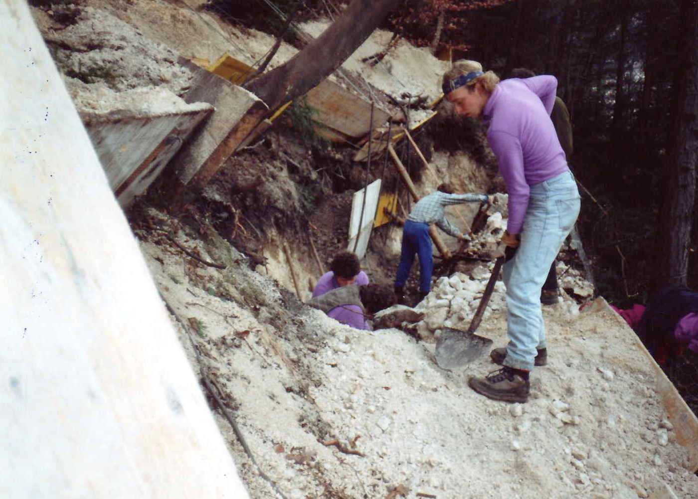 File0011784 File0011784